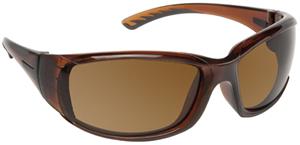 2. TRANS BROWN FRAME/BROWN LENS