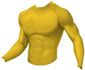 WSI Sports Microtech Fitted Performance Shirt
