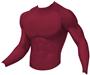 WSI Sports Microtech Fitted Performance Shirt