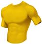 WSI Sports Unisex Microtech Fitted Shirt