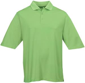 CHLOROPHYLL
