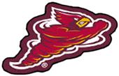 Fan Mats Iowa State University Mascot Mats