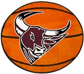 Fan Mats Mesa State College Basketball Mat