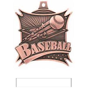 BRONZE MEDAL/WHITE RIBBON