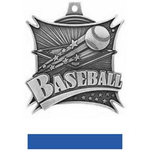 SILVER MEDAL/BLUE RIBBON