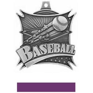 SILVER MEDAL/PURPLE RIBBON