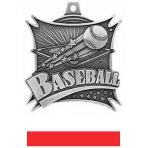 SILVER MEDAL/RED RIBBON