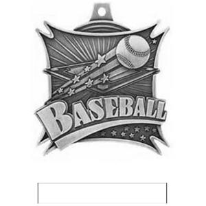 SILVER MEDAL/WHITE RIBBON