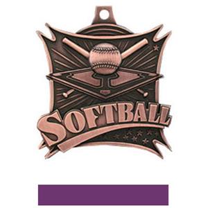 BRONZE MEDAL/PURPLE RIBBON