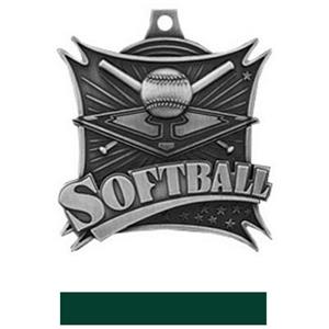 SILVER MEDAL/HUNTER RIBBON