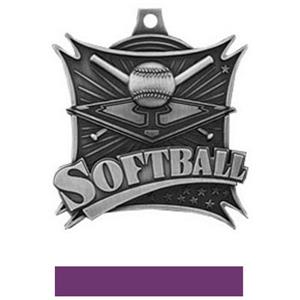 SILVER MEDAL/PURPLE RIBBON