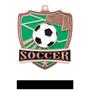 Hasty Awards Soccer Shield Medals M-735S