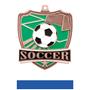 Hasty Awards Soccer Shield Medals M-735S