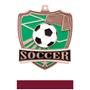 Hasty Awards Soccer Shield Medals M-735S