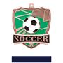 Hasty Awards Soccer Shield Medals M-735S