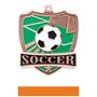 Hasty Awards Soccer Shield Medals M-735S