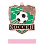 Hasty Awards Soccer Shield Medals M-735S