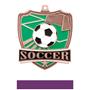 Hasty Awards Soccer Shield Medals M-735S