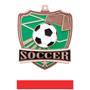 Hasty Awards Soccer Shield Medals M-735S