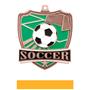 Hasty Awards Soccer Shield Medals M-735S