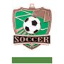 Hasty Awards Soccer Shield Medals M-735S
