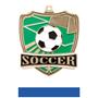 Hasty Awards Soccer Shield Medals M-735S