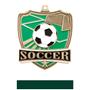 Hasty Awards Soccer Shield Medals M-735S
