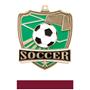 Hasty Awards Soccer Shield Medals M-735S