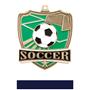 Hasty Awards Soccer Shield Medals M-735S