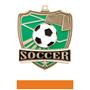 Hasty Awards Soccer Shield Medals M-735S