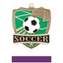 Hasty Awards Soccer Shield Medals M-735S