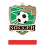 Hasty Awards Soccer Shield Medals M-735S