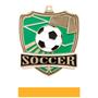 Hasty Awards Soccer Shield Medals M-735S
