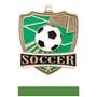 Hasty Awards Soccer Shield Medals M-735S