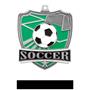 Hasty Awards Soccer Shield Medals M-735S
