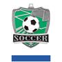 Hasty Awards Soccer Shield Medals M-735S