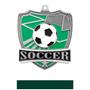 Hasty Awards Soccer Shield Medals M-735S