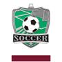 Hasty Awards Soccer Shield Medals M-735S