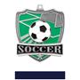 Hasty Awards Soccer Shield Medals M-735S