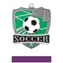 Hasty Awards Soccer Shield Medals M-735S