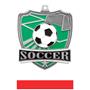 Hasty Awards Soccer Shield Medals M-735S