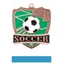 Hasty Awards Soccer Shield Medals M-735S