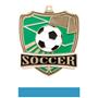 Hasty Awards Soccer Shield Medals M-735S