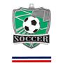 Hasty Awards Soccer Shield Medals M-735S