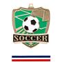 Hasty Awards Soccer Shield Medals M-735S