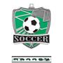 Hasty Awards Soccer Shield Medals M-735S