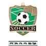 Hasty Awards Soccer Shield Medals M-735S