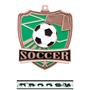 Hasty Awards Soccer Shield Medals M-735S