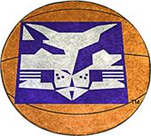 Fan Mats NYU Basketball Mat Fan Mats NYU Basketball Mat