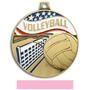 Hasty Awards Americana Volleyball Medals M-750